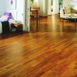 בקבוק מנקה פרקט HG 54 נפח 1 ליטר מק"ט 42055 - תכשיר מרוכז לניקוי מקצועי ללא פסים של רצפות פרקט מצופה לכה עם ניחוח נעים ורענן