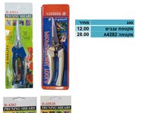 QMtxGiaMXyWtWBKZ.jpg מקטפת ענבים – תמונה 1