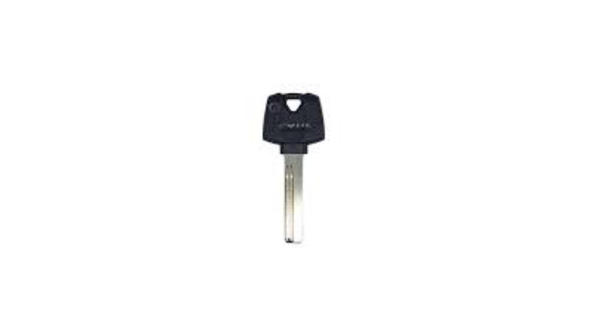 697b1f398d71993ce330a71a גלם 06 HERMAN – תמונה 1