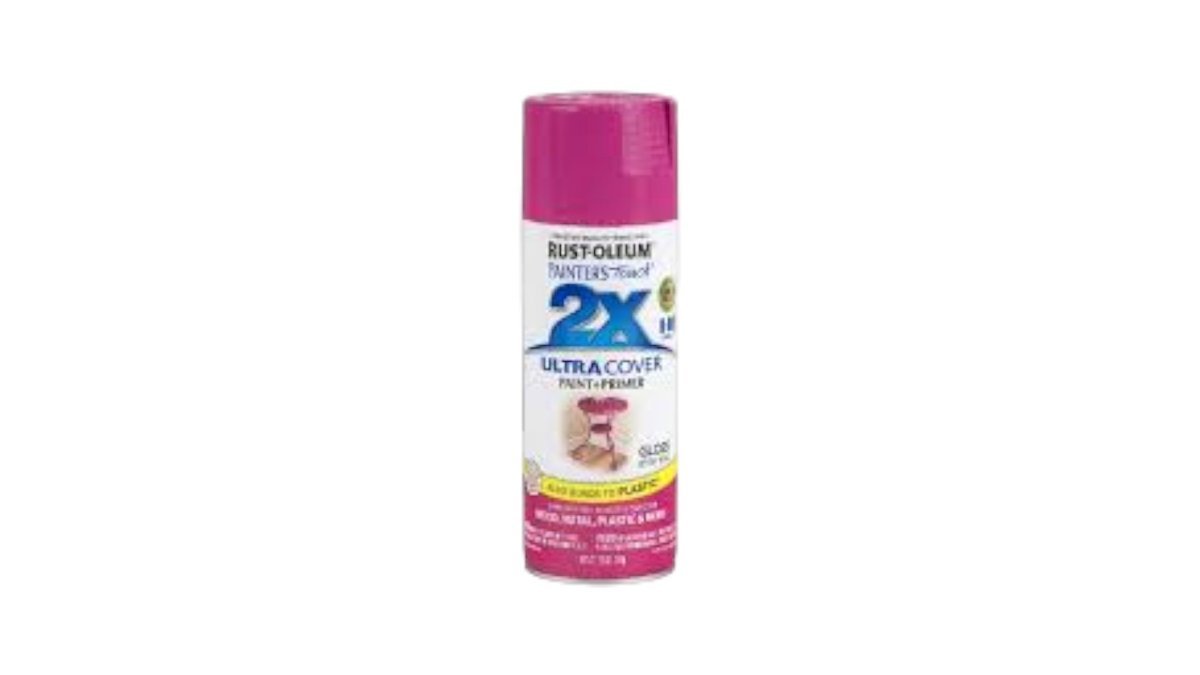 6995b2a0c7fede311b1ae776 ספריי צבע 2X ורוד berry pink – תמונה 1