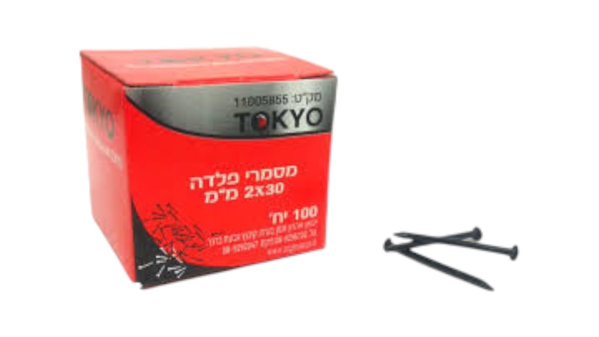 6995b2bbc7fede311b1ae82d מסמר פלדה 2*30 ממ אריזה – תמונה 1
